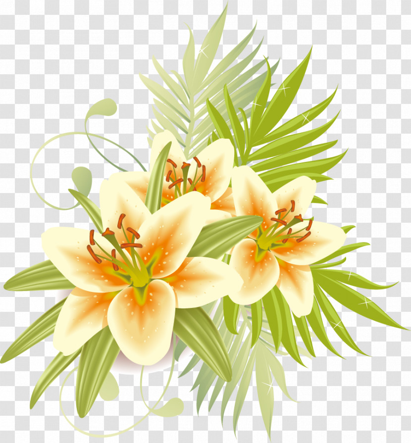 Lily Flower Transparent PNG