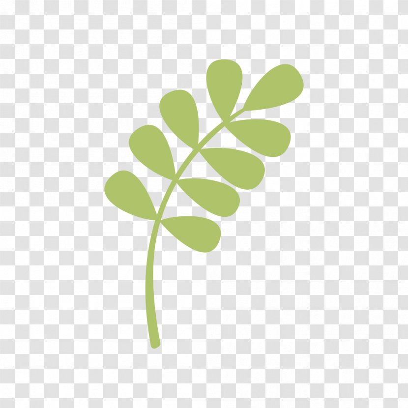 Four-leaf Clover Image - Plant Stem - Tree Transparent PNG
