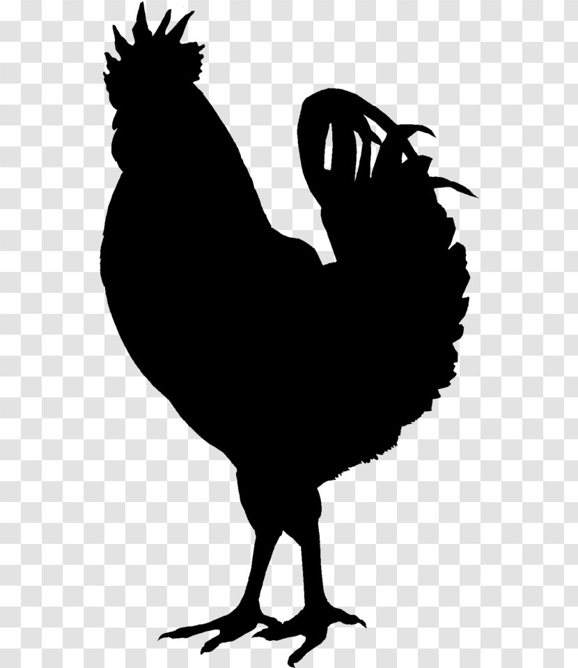 Chicken Nugget Background - Black Turkey - Livestock Fowl Transparent PNG