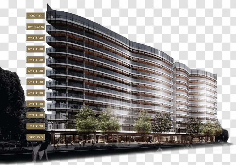 Architecture Commercial Building Architectural Engineering Facade - Urban Design - Banyan Tree Transparent PNG