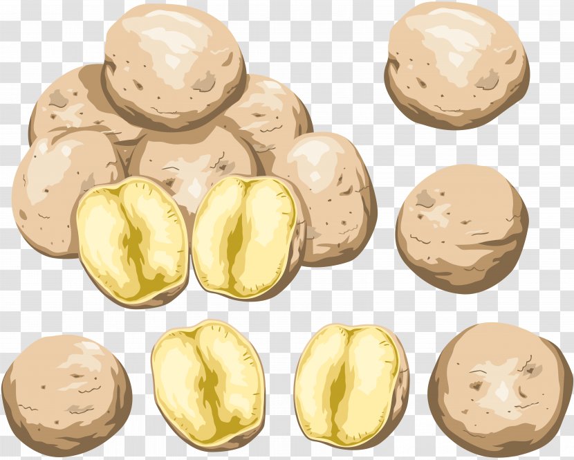Potato Nut Clip Art - Root Vegetable Transparent PNG