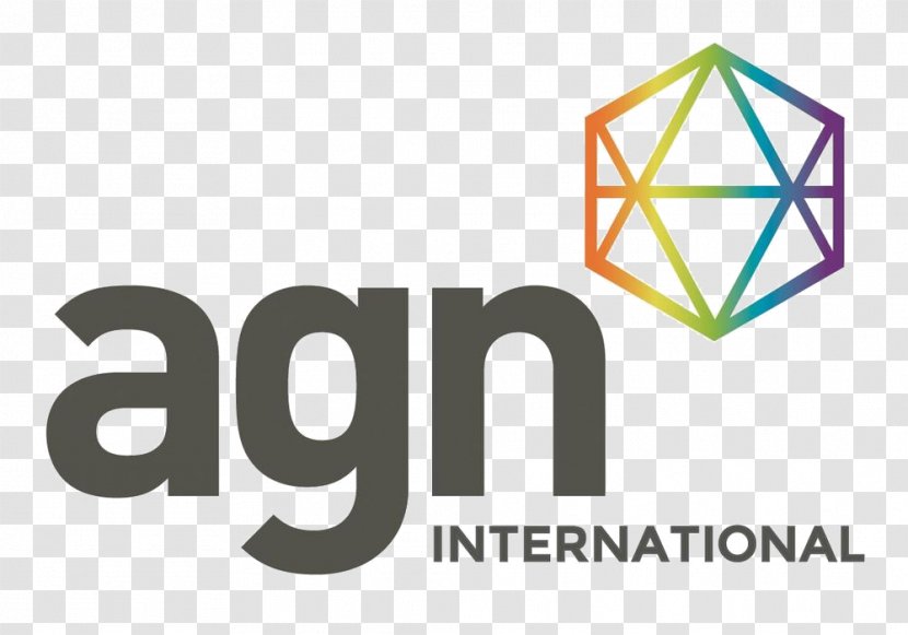 Accounting Business Certified Public Accountant Agn International Limited Audit - Consulting Firm Transparent PNG
