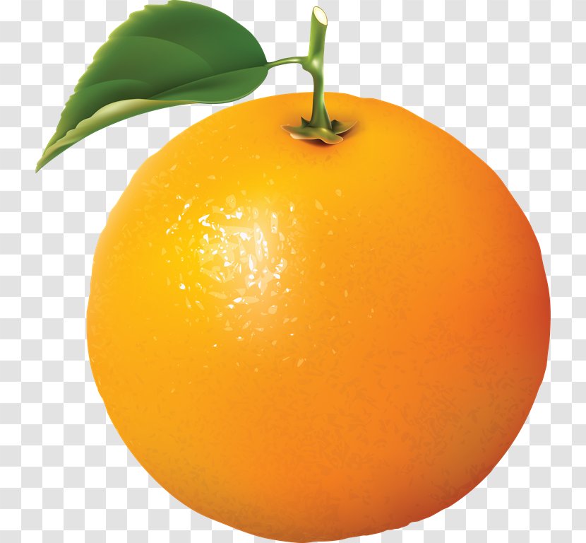 Orange Clip Art - Valencia Transparent PNG