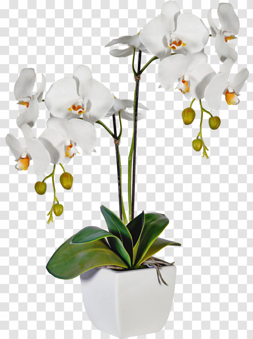 Artificial Flower Transparent PNG