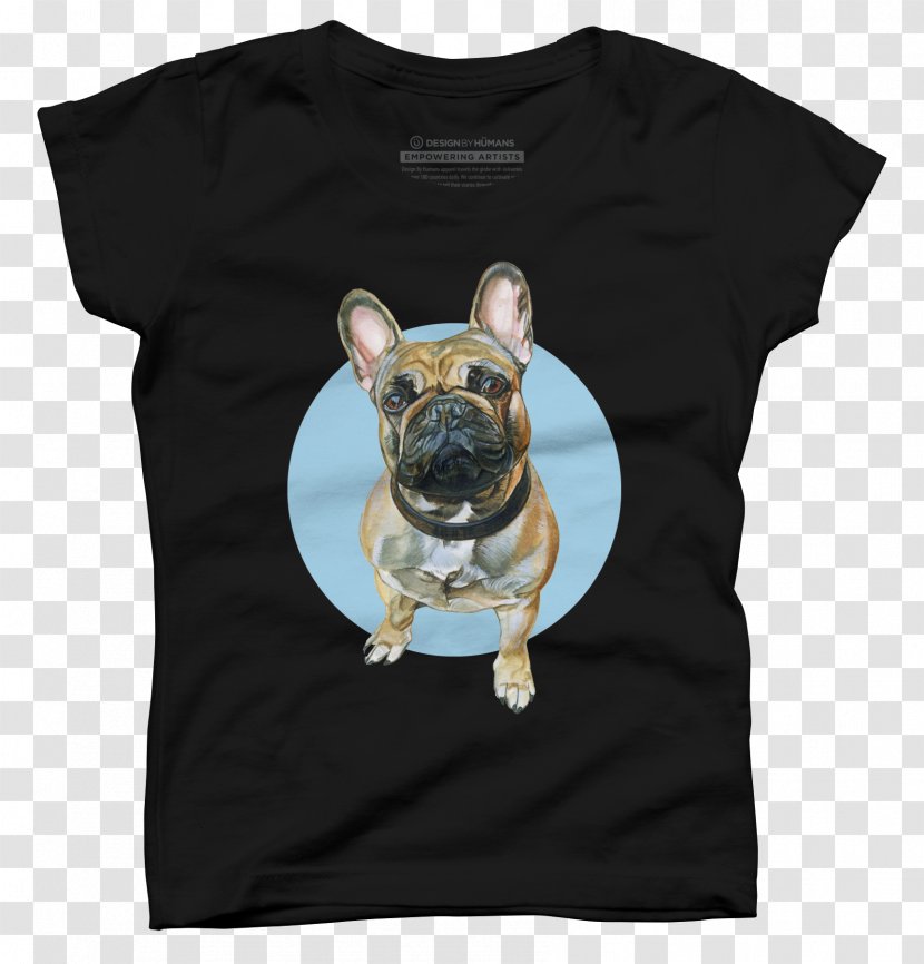 French Bulldog Non-sporting Group Dog Breed Snout - FRENCH BULLDOG Transparent PNG
