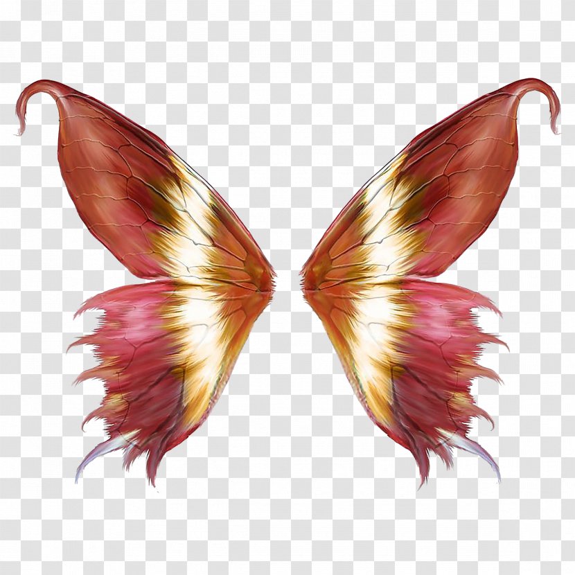 Pink Butterfly Wings - Pollinator - Feather Transparent PNG