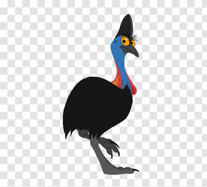 Bird Drawing Southern Cassowary Clip Art Transparent PNG