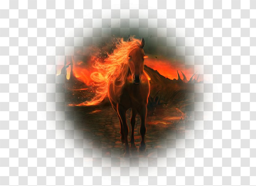 Mane Desktop Wallpaper Mustang ArtFire ArtHorse - Pas De Deux Transparent PNG