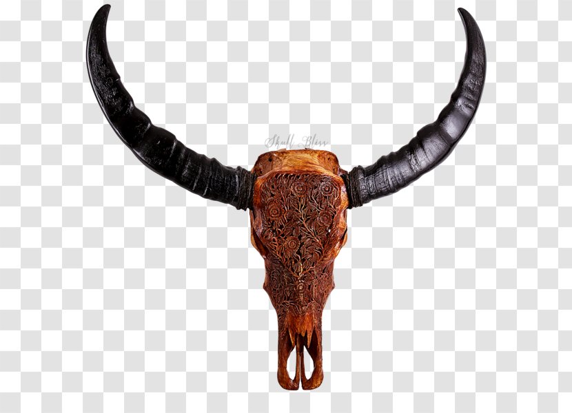 Cattle Water Buffalo Horn Ox Dragon - Skull Transparent PNG