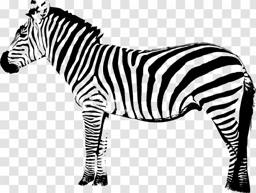 Quagga Zebra Clip Art - Wildlife Transparent PNG