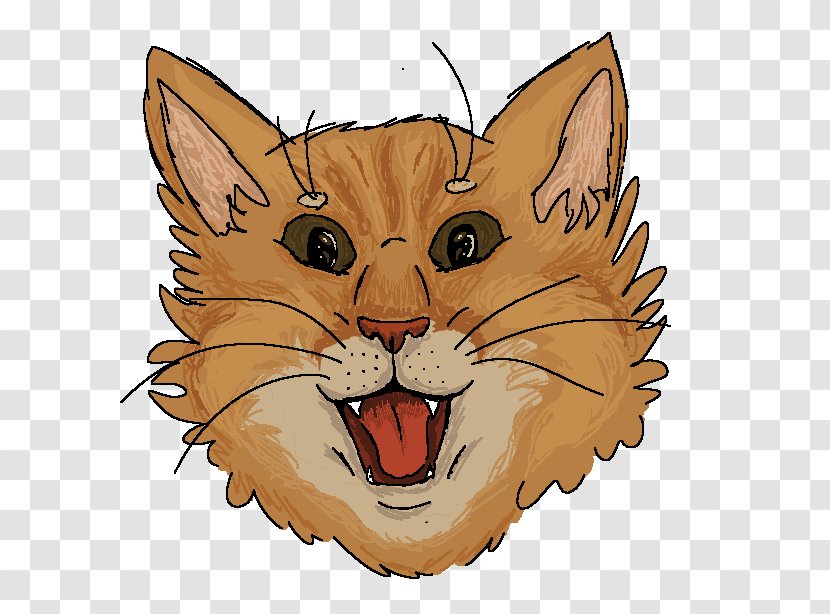 Whiskers Kitten Wildcat Tabby Cat - Frame Transparent PNG