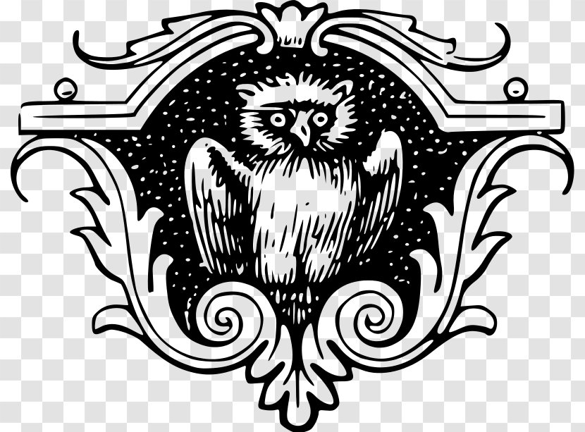 Owl Bird Of Prey Animal Illustrations Clip Art - Silhouette Transparent PNG