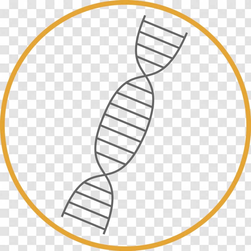 Weidevenne Drawing Clip Art - Plant - Dna Day Transparent PNG