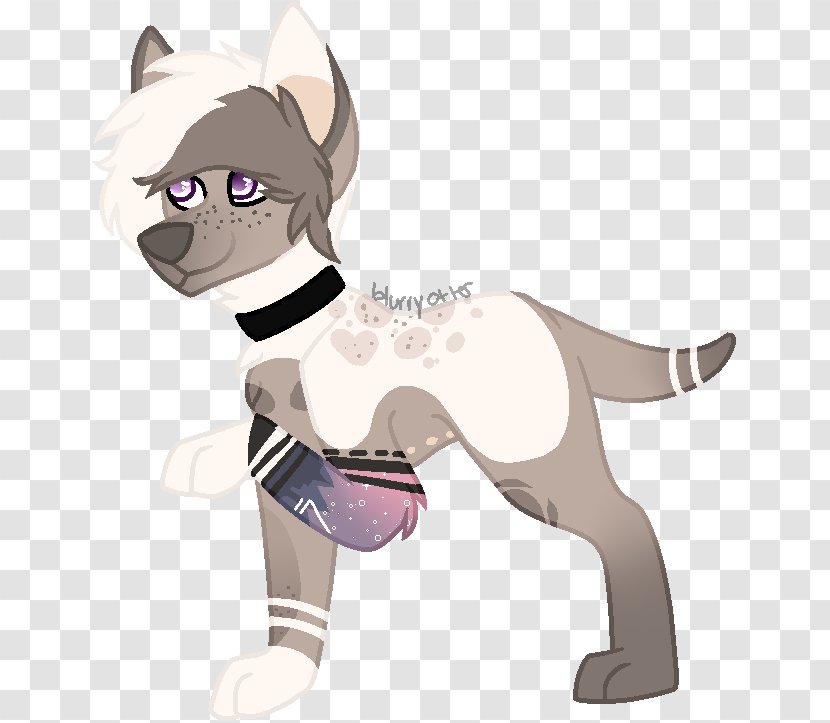 Cat Dog Horse Paw Mammal - Stars In The Sky Transparent PNG