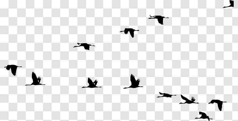 Crane Bird Flight - Silhouette Transparent PNG