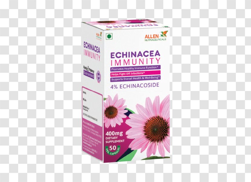 Immunity Immune System Infection Echinacea Purpurea Disease - Coneflower Transparent PNG