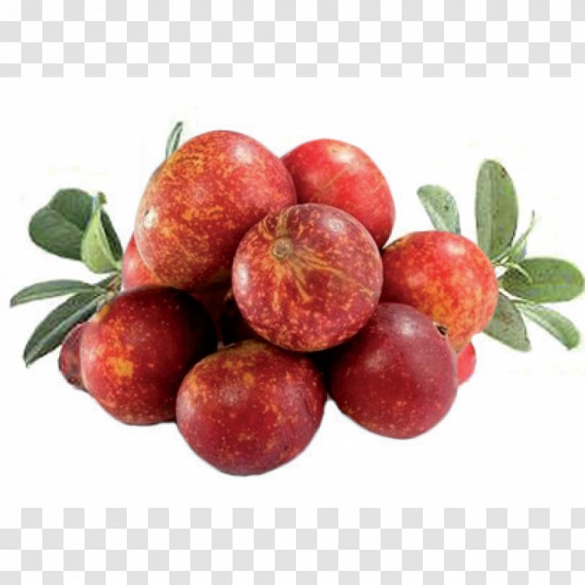 Camu Peruvian Cuisine Amazon Rainforest Juice Fruit - Vitamin Transparent PNG