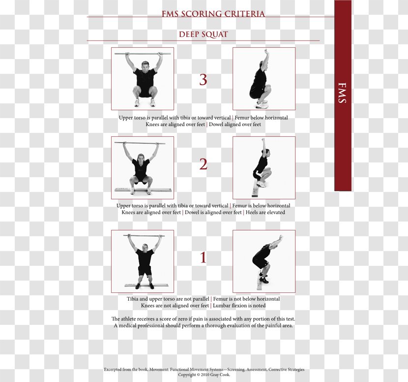 Functional Movement Squat Exercise Torso Assessment - Physical Fitness - Cook Out Transparent PNG