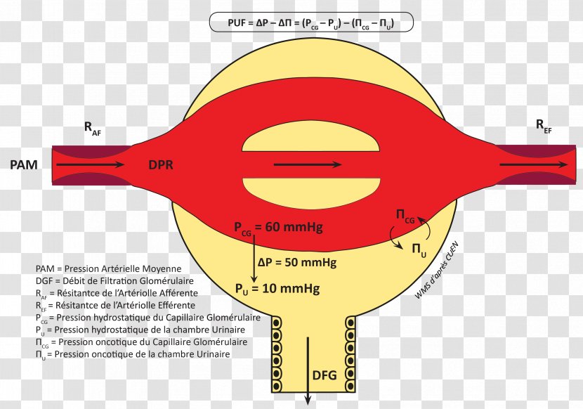 Brand Line Angle Cartoon Transparent PNG