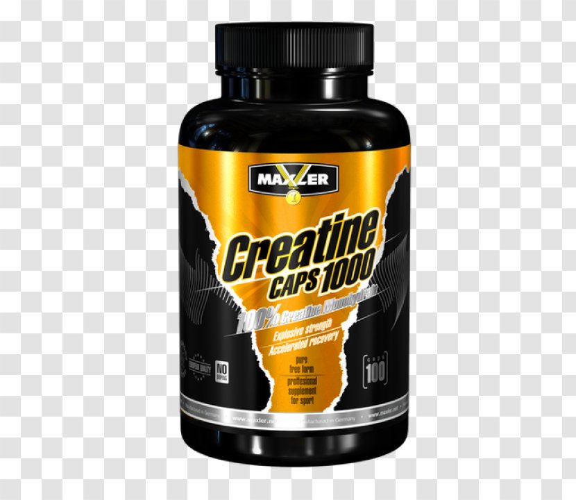 Creatine Bodybuilding Supplement Capsule Whey Protein Nutrition Transparent PNG