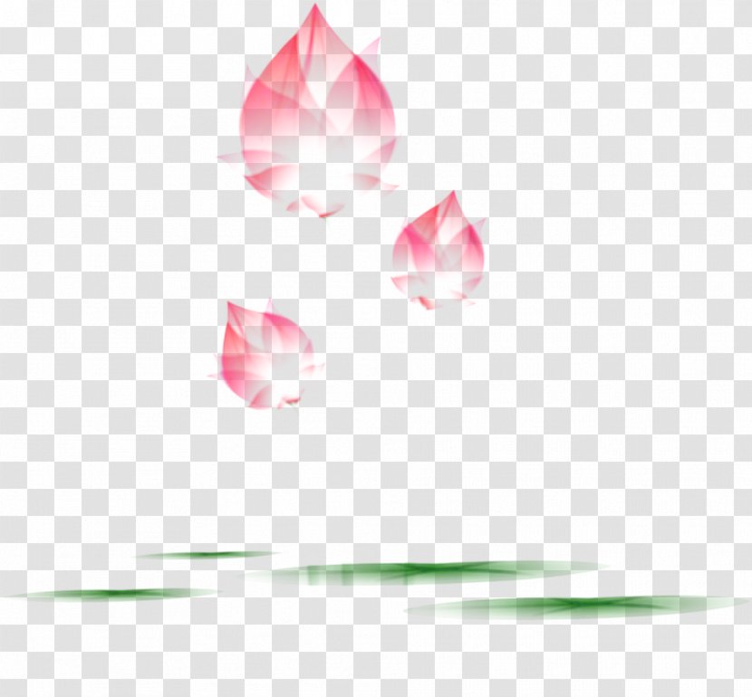 Petal Rose Family Desktop Wallpaper Pink M - Morning Glory Transparent PNG