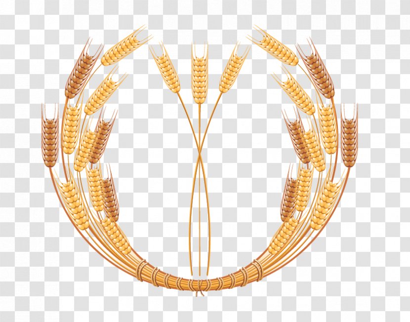 Crop Wheat Clip Art - Ear - Vector Golden Border Transparent PNG