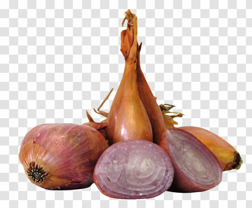 Shallot Vegetable Allium Fistulosum Yellow Onion - Romaine Lettuce - Onions Transparent PNG