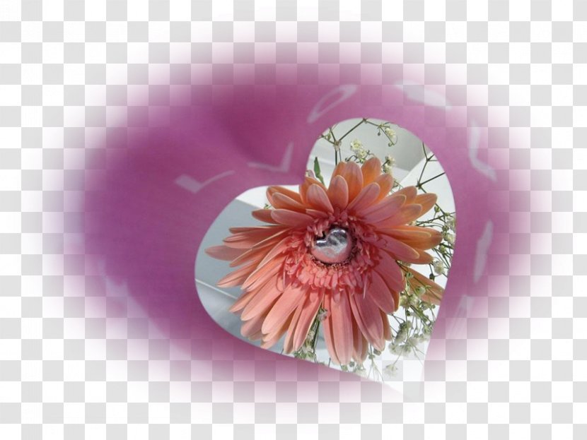 Pink M - Rom Image Transparent PNG