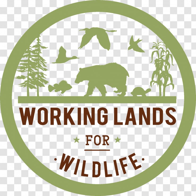Natural Resources Conservation Service Logo The Wildlife Society Hunting - Anderson's Rock River Ford Department Transparent PNG