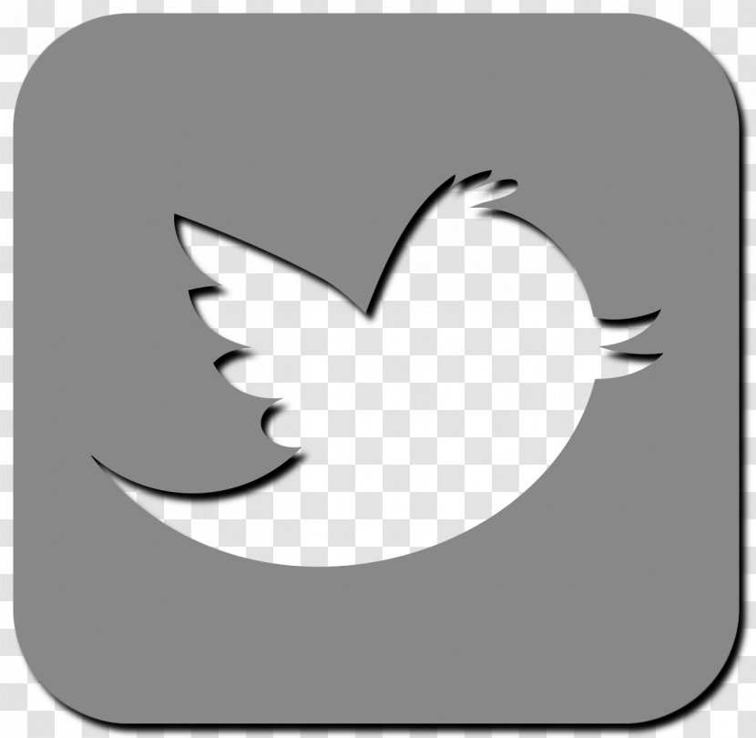 Sanctuary Lakes Eyecare Twitter Shopping Centre Desktop Wallpaper Cygnini - Water Bird Transparent PNG
