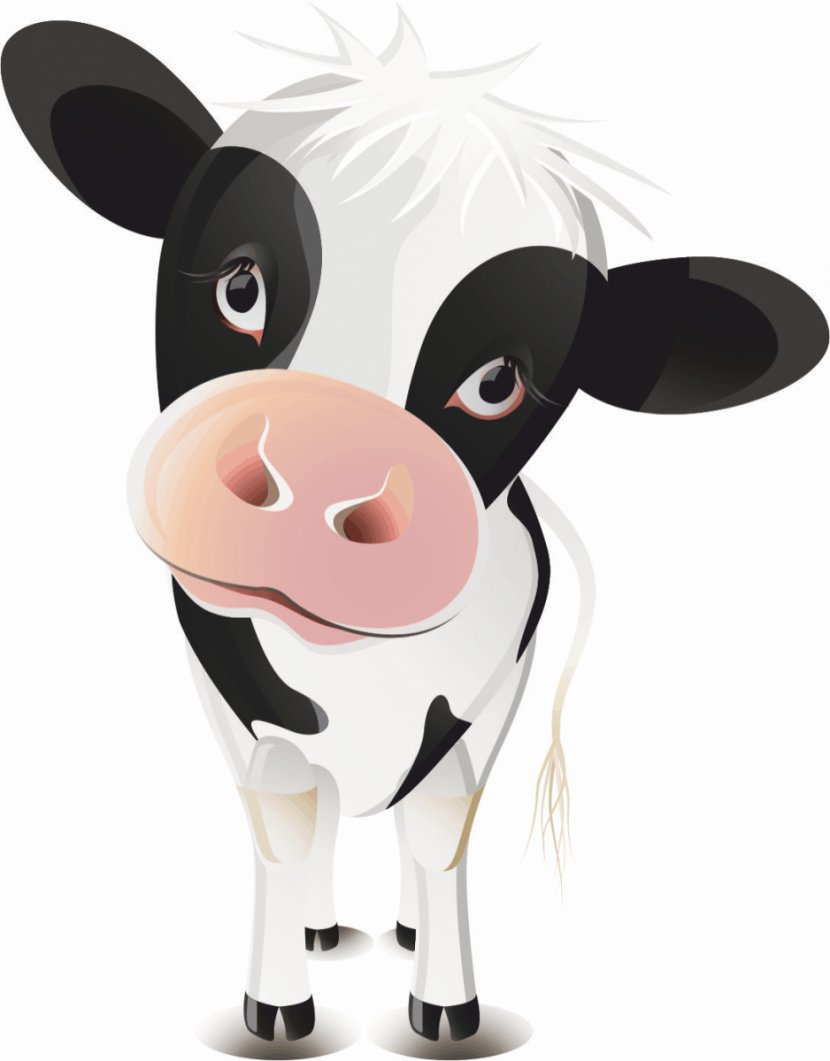 Cattle Ox Calf Clip Art - Cow Transparent PNG