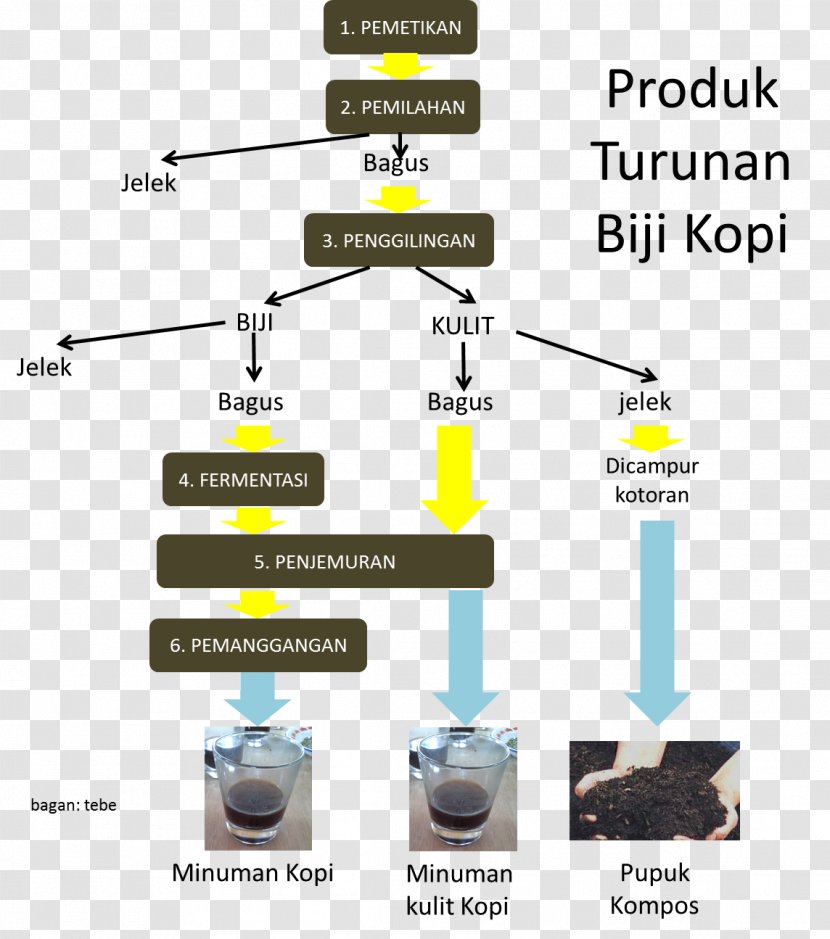 Coffee Bean Drink Coffea Process - Organic Fertilizer Transparent PNG
