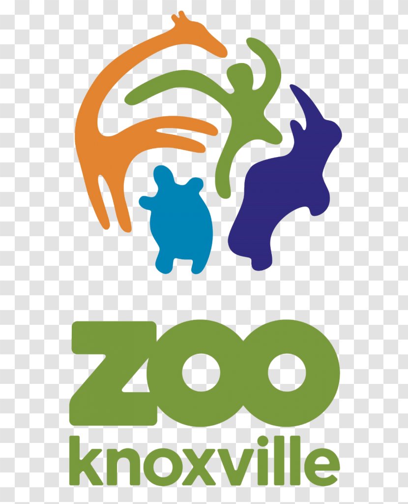 Zoo Knoxville Clip Art Brand Logo Graphic Design - Artwork - American Marketing Association Transparent PNG
