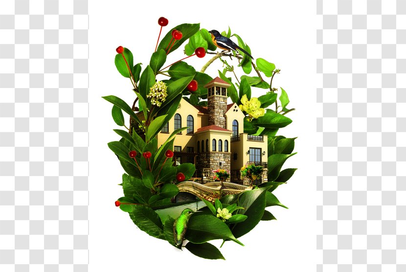 Pond Cartoon - Villa - Building Cottage Transparent PNG