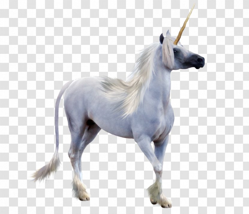 Winged Unicorn Pegasus Horn - Mythical Creature Transparent PNG