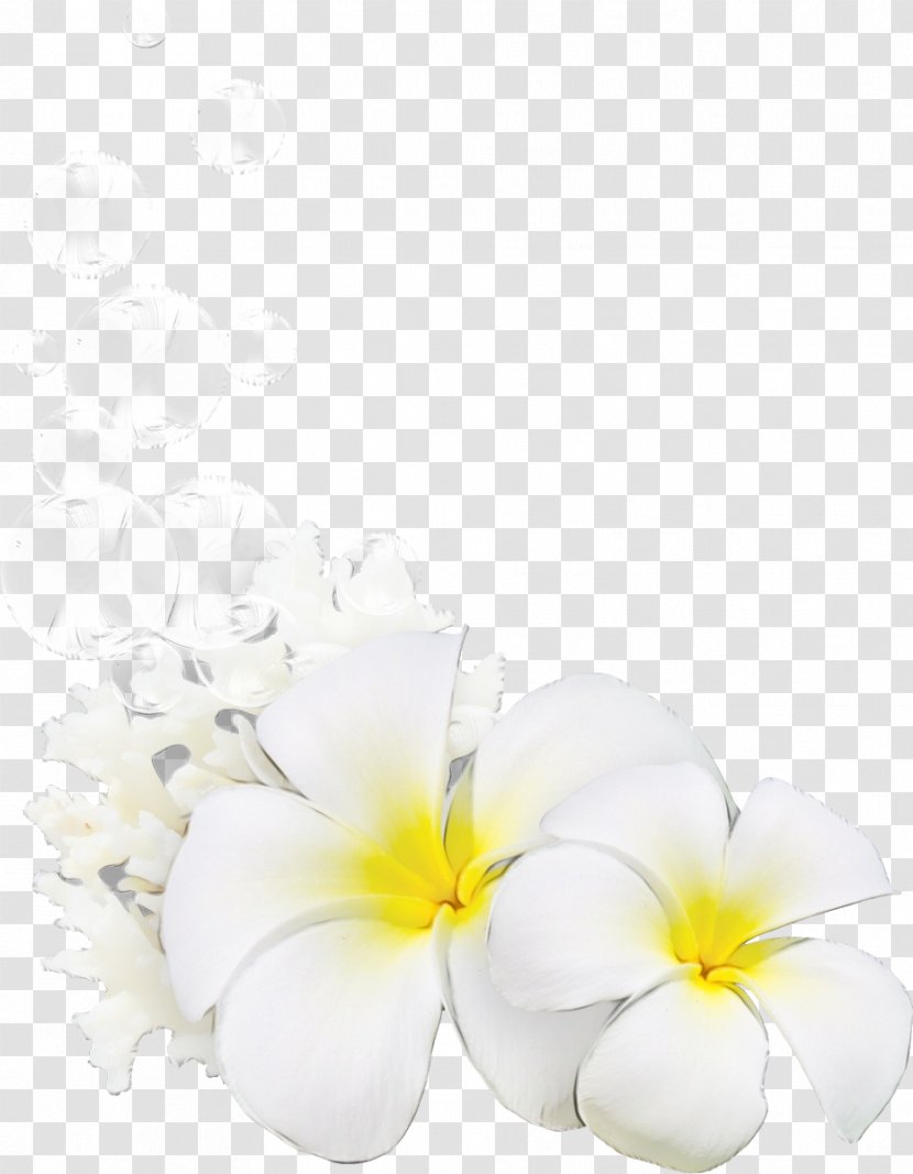 Watercolor Floral Background - Design - Wildflower Flowering Plant Transparent PNG
