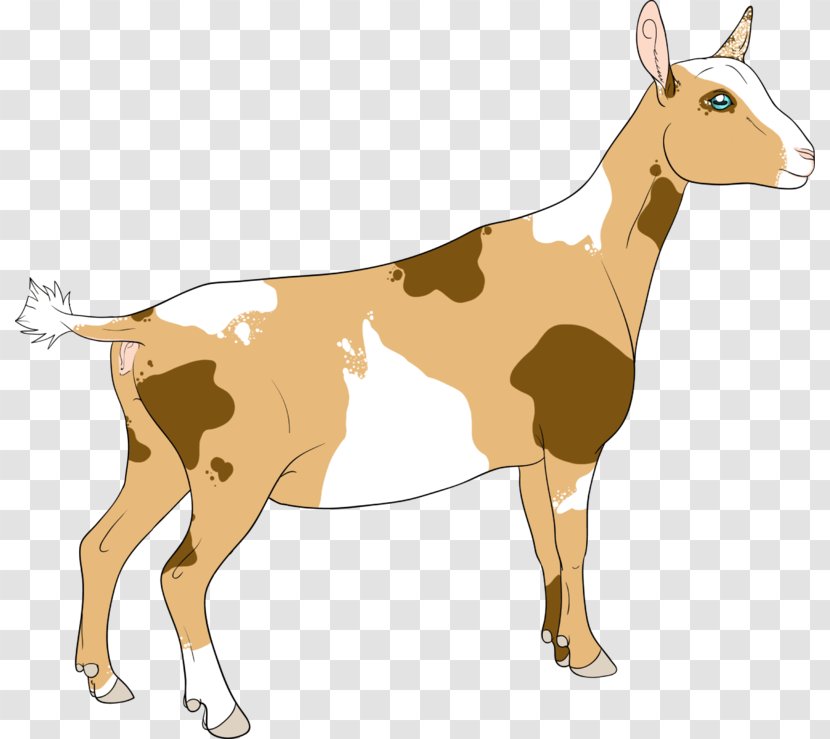 Nigerian Dwarf Goat Hereford Cattle Beef Charolais Livestock Transparent PNG