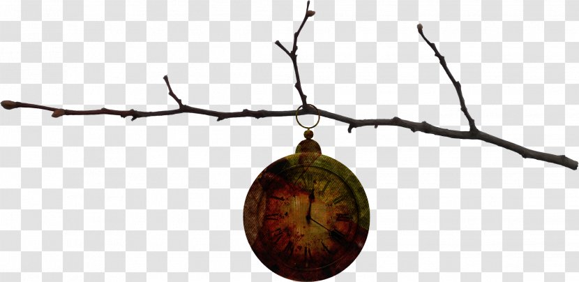 Twig - Branch - Clock Tree Transparent PNG