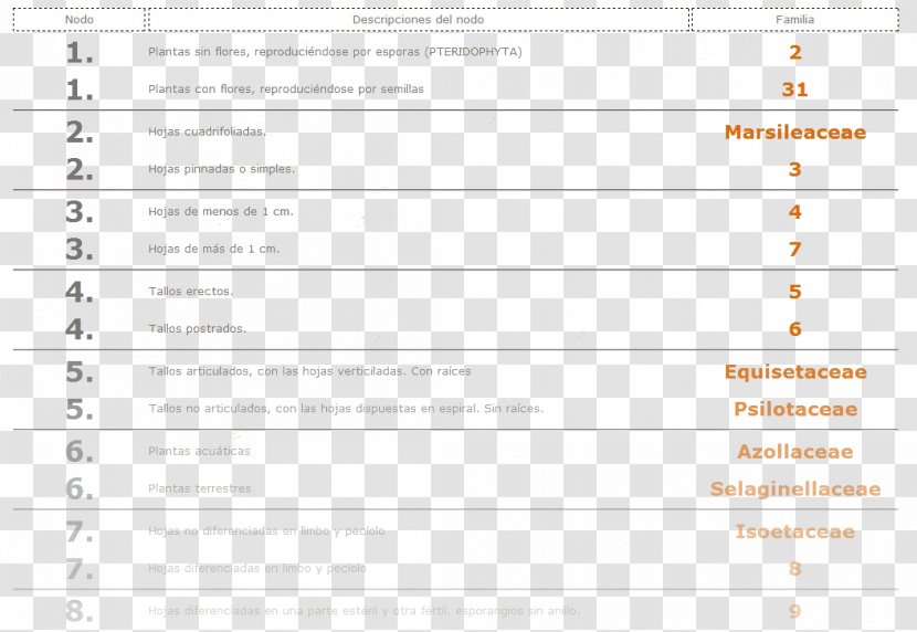 Document Line - Paper Transparent PNG