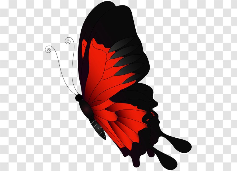Butterfly Chroma Key Flight Clip Art - Red Transparent PNG