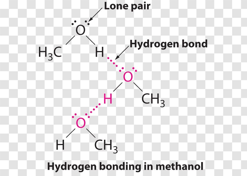 Intermolecular Force Hydrogen Bond Chemical Molecule Chemistry - Heart - Trimethylamine Transparent PNG