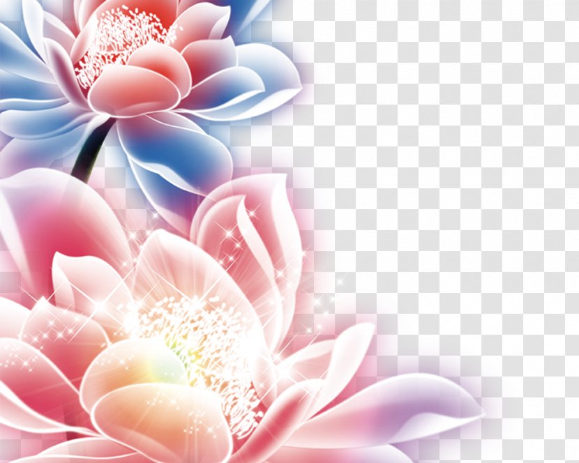 Colorful Lotus - Flower - Pink Transparent PNG