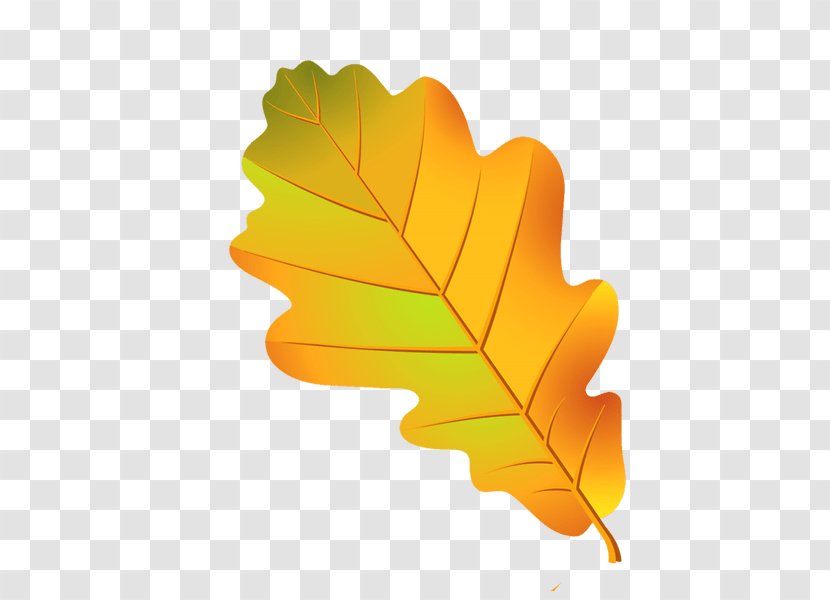 Maple Leaf - Plane - Autumn Deciduous Transparent PNG