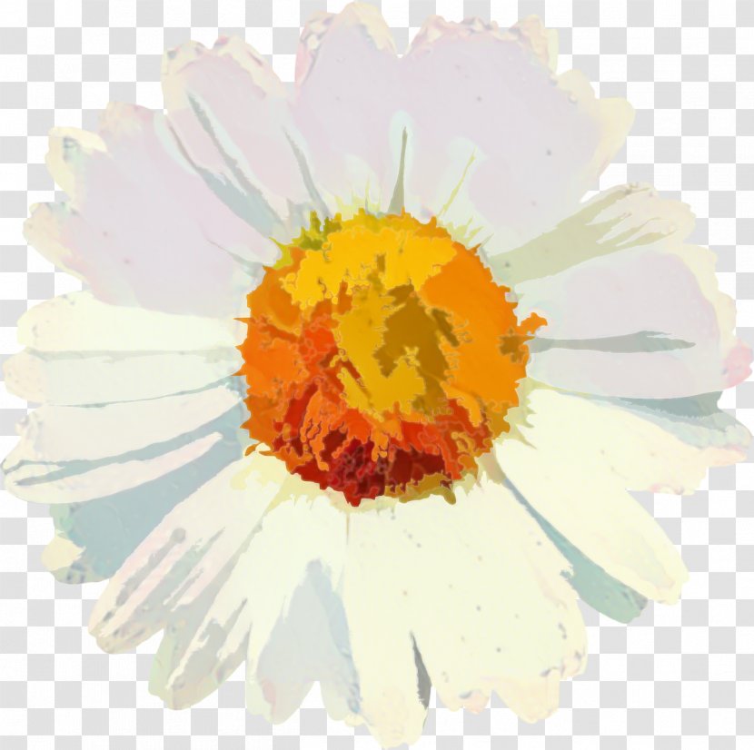 Flowers Background - Orange - Sunflower Daisy Transparent PNG