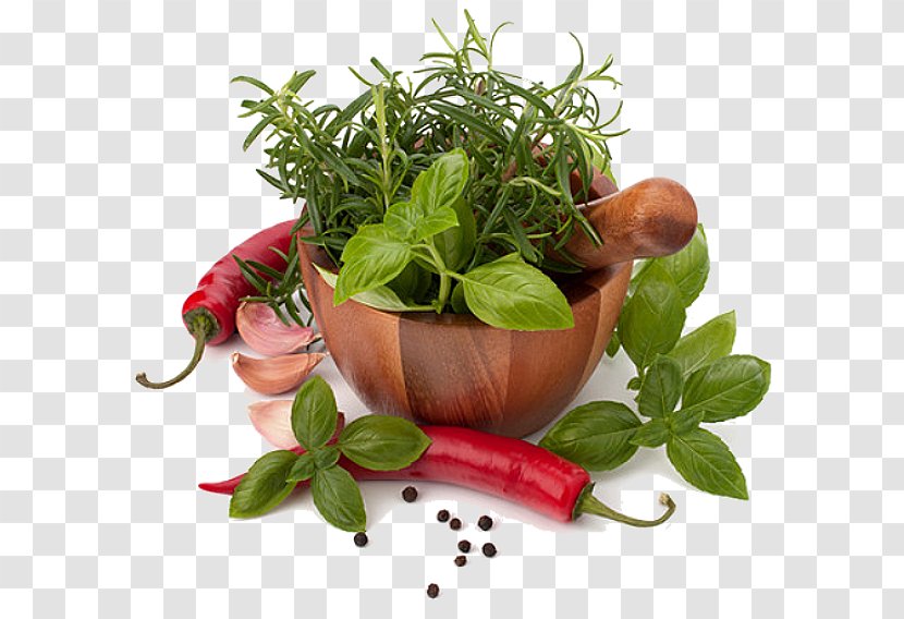 Herb Spice Condiment Flavor Mortar And Pestle - Delicious Meat Transparent PNG