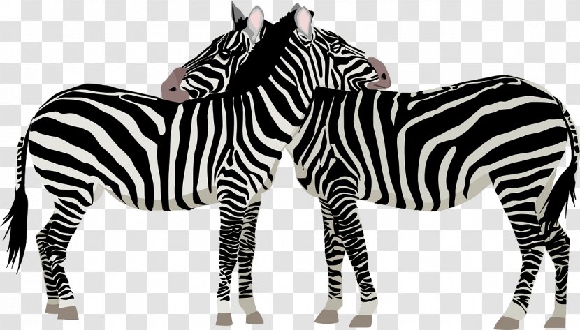 Zebra Clip Art - Wildlife - Loving Transparent PNG