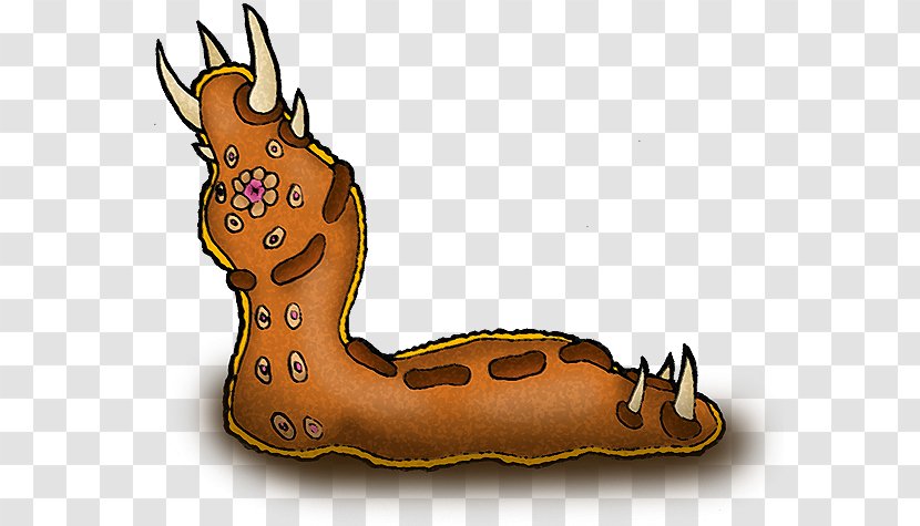 Slug Clip Art - Carrion Cliparts Transparent PNG