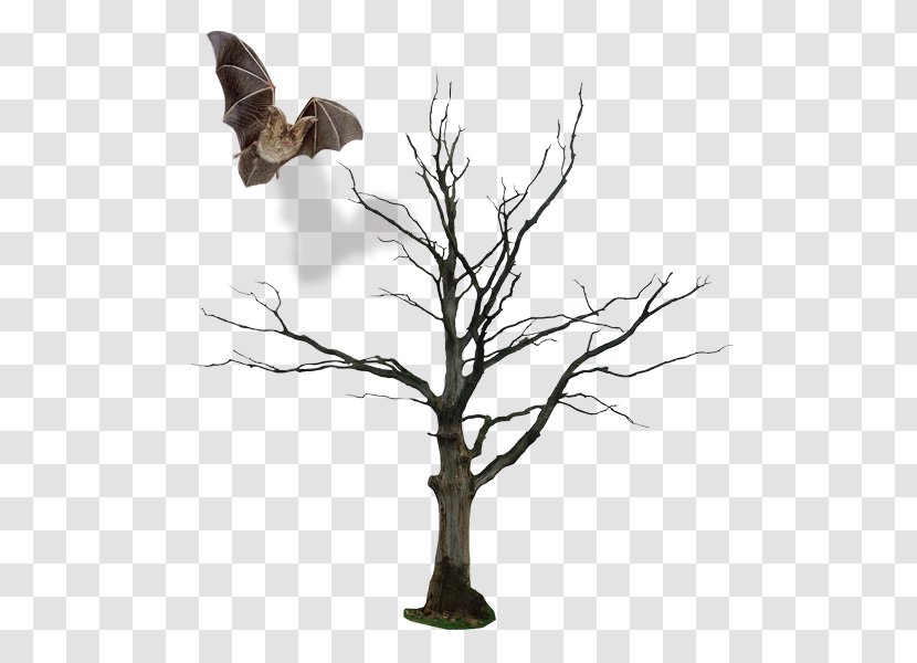 Populus Nigra Tree Drawing Clip Art - Dry And Bats Transparent PNG