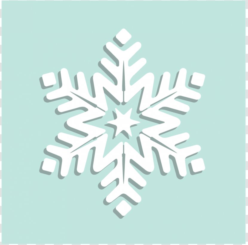 Font Logo Snowflake Pattern Line - Plant Transparent PNG