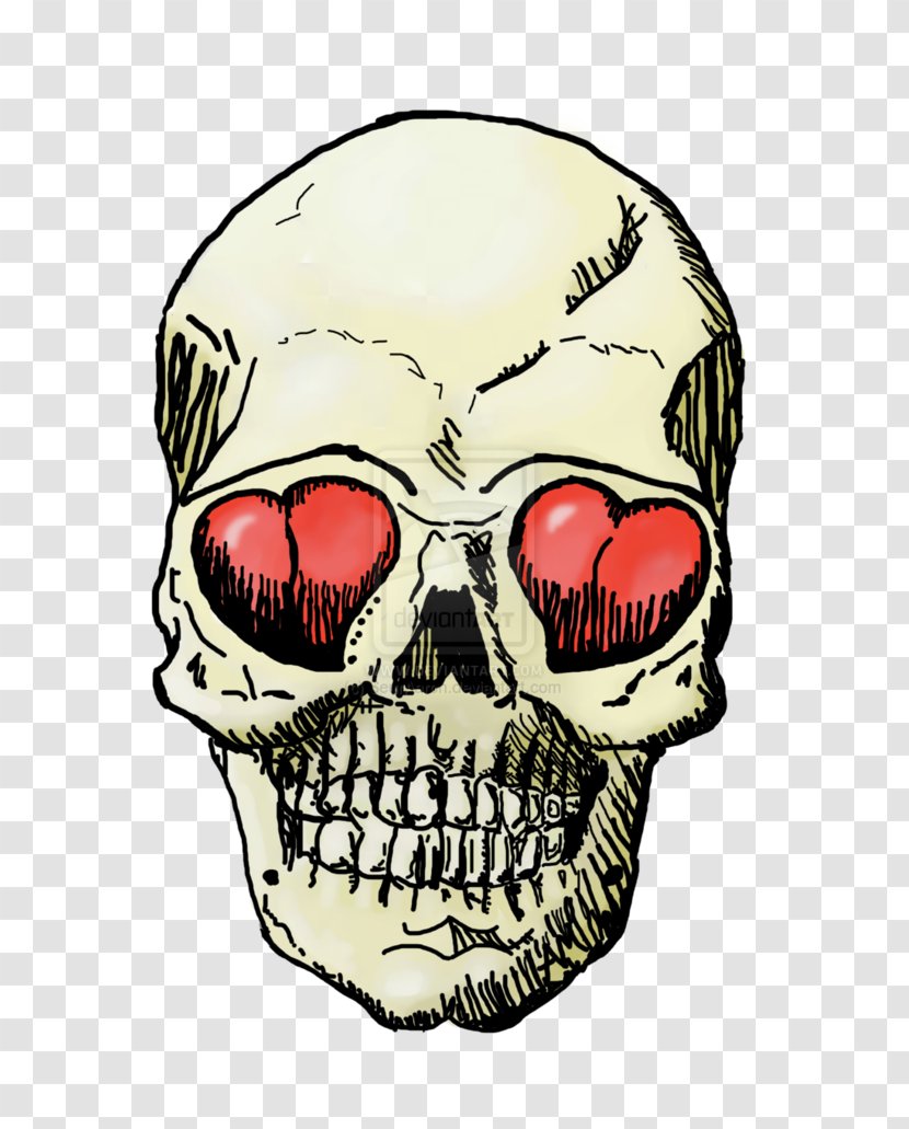 Skull Jaw - Bone Transparent PNG